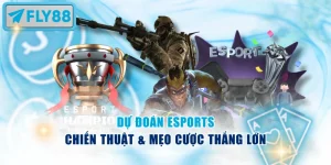 Dự đoán Esports