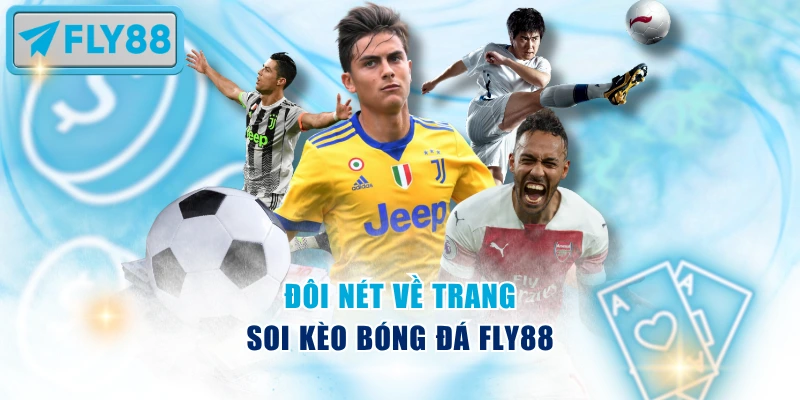 Đôi nét về trang soi kèo bóng đá Fly88