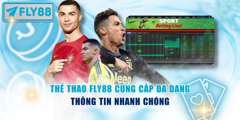 Cập nhật thông tin hữu ích trong thể thao Fly88